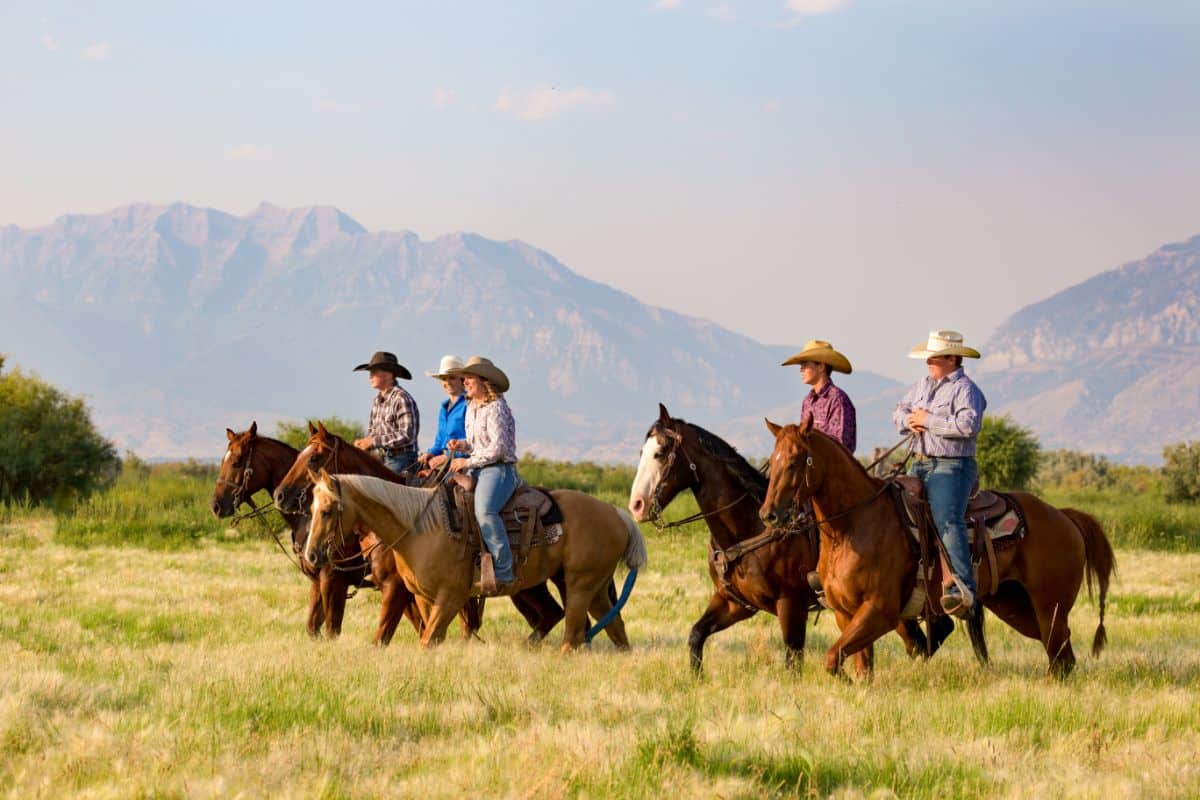 A bunch of cowboys on horses.