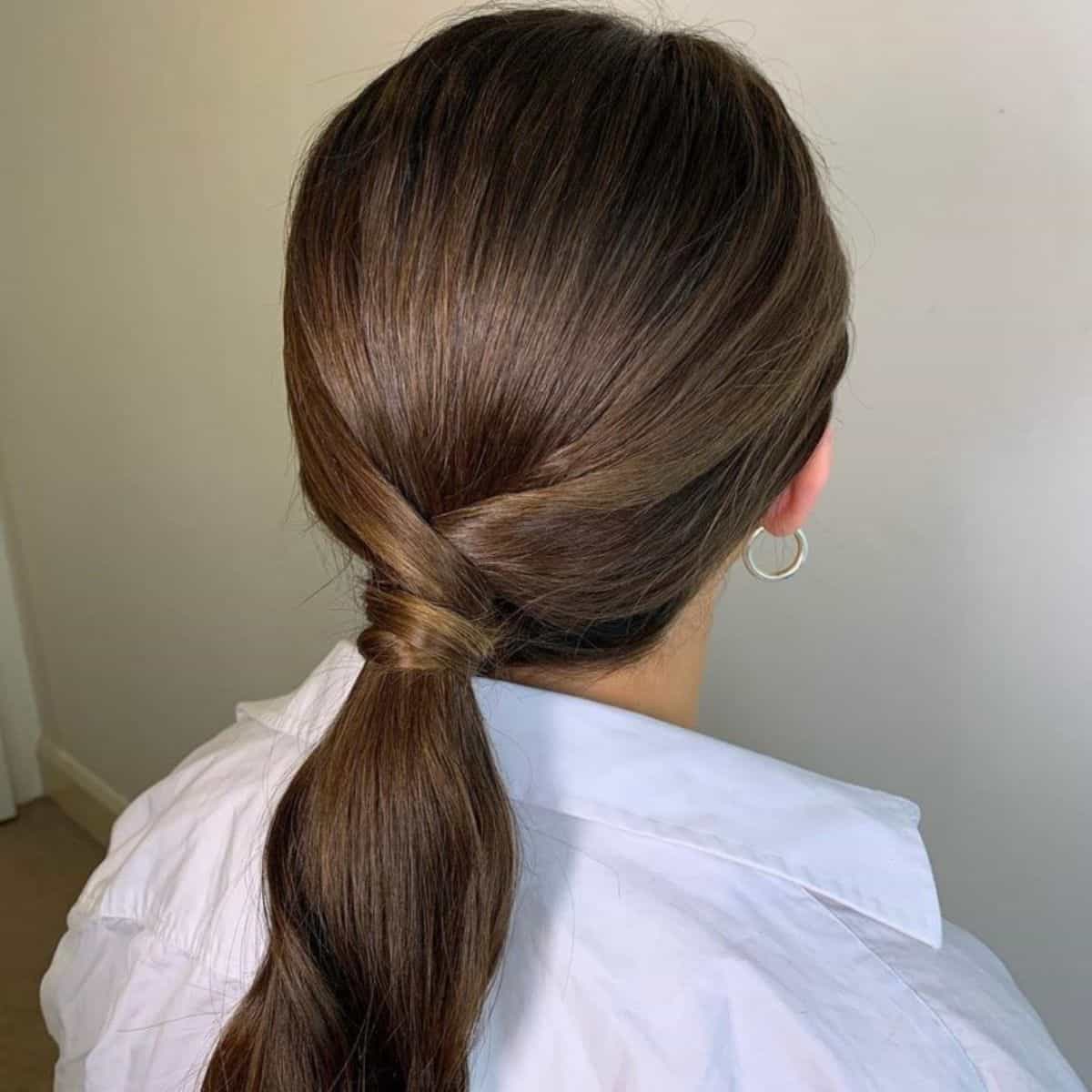 Twist Ponytail woman's hairstyle.