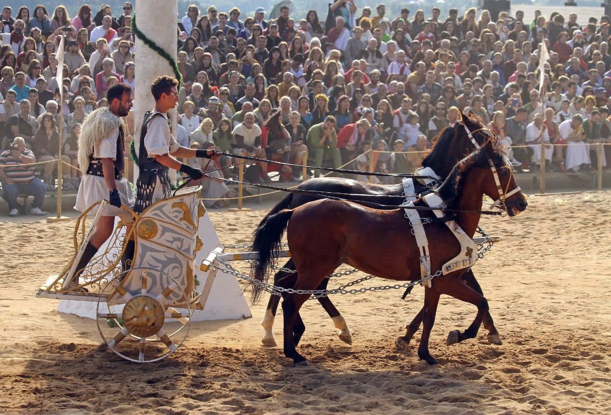 Chariot Horse-Drawn Carriage.