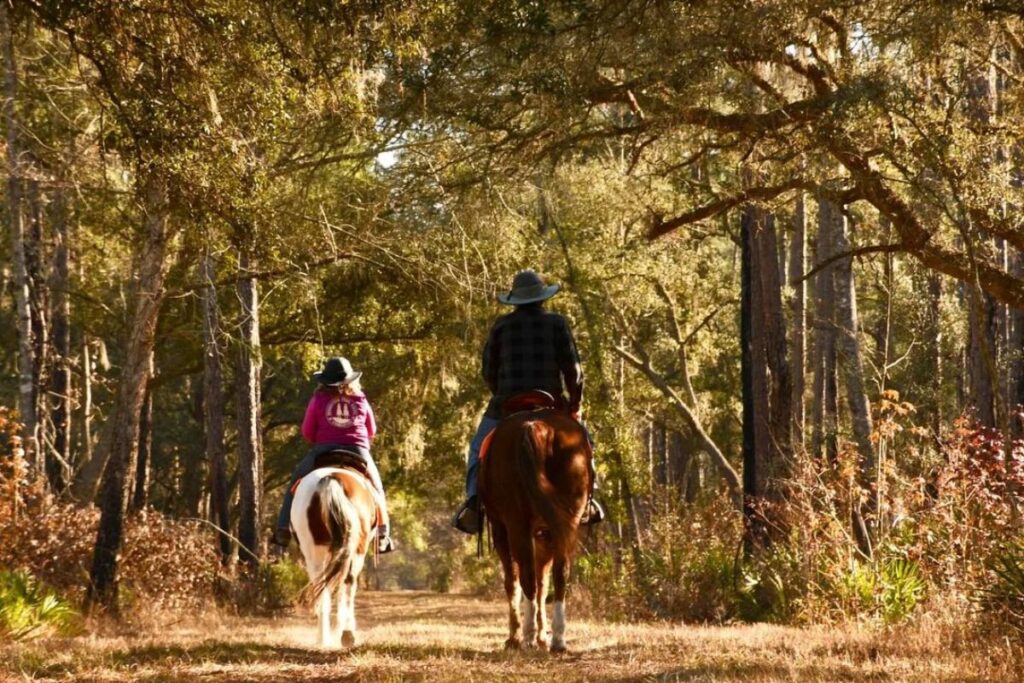 7 Most Beautiful Horseback Riding Trails In Florida