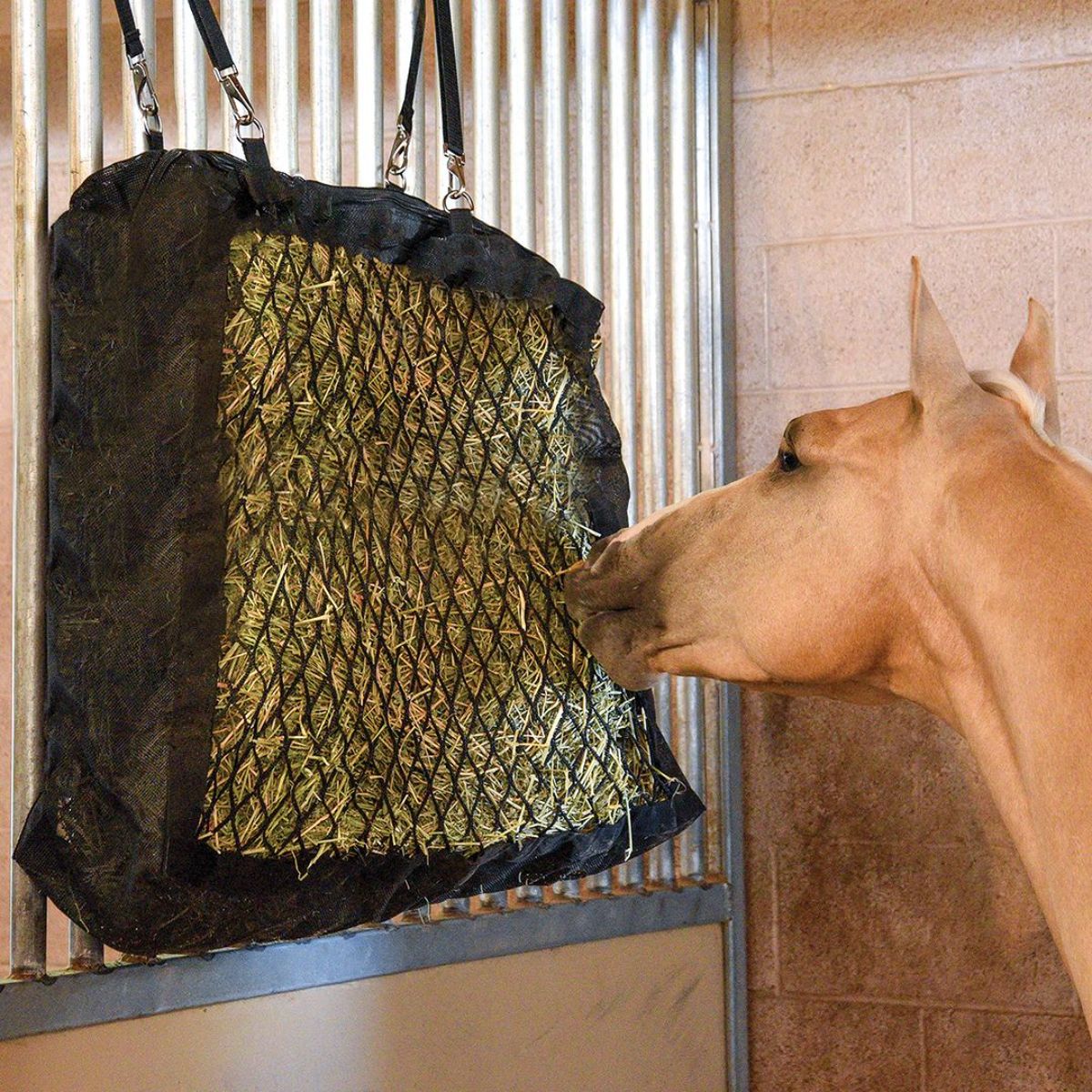 A brown horse grazes hay from a hanging feeder on a wall.