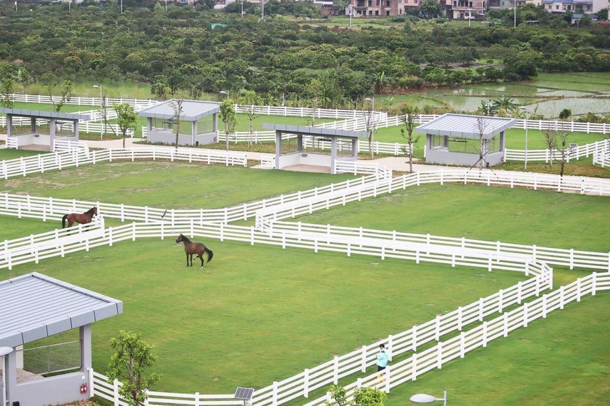 A horse ranch with white wooden fences.