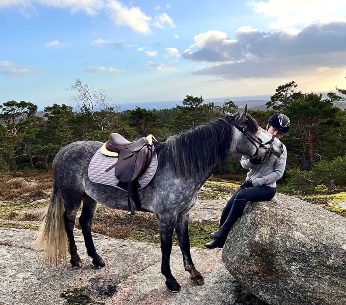 A gray Marismeno horse stands near an equestrian rider sitting on a rock.