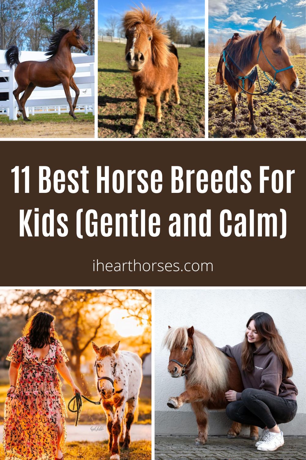 11 Best Horse Breeds For Kids (Gentle and Calm)