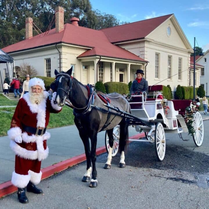 Horse Breeds Archives