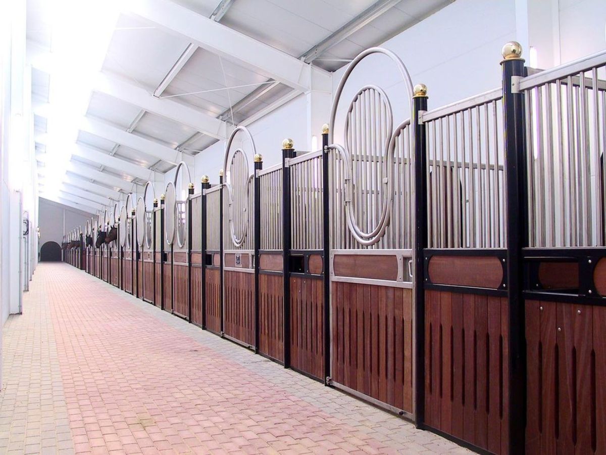 A modern-looking horse stall with metal gates.
