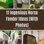 11 Ingenious Horse Feeder Ideas (With Photos) pinterest image.