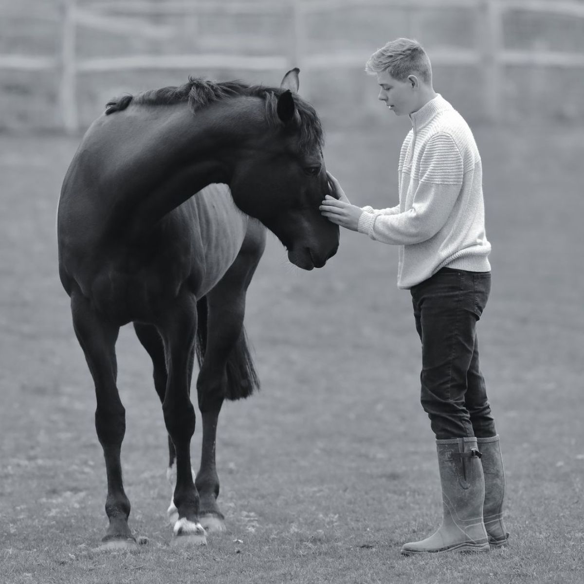 A male Equestrian rider pets a horse.