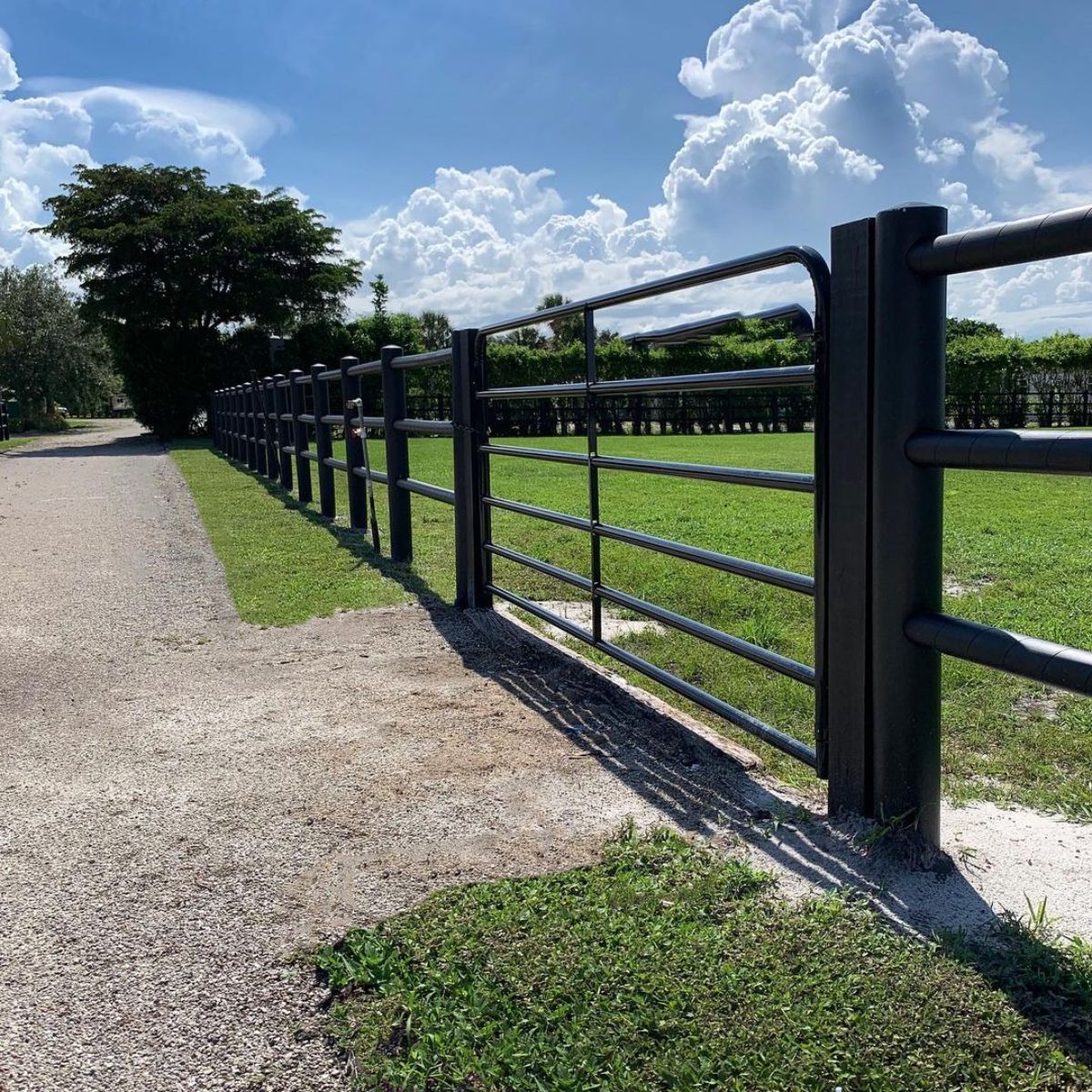 A metal ranch fence.