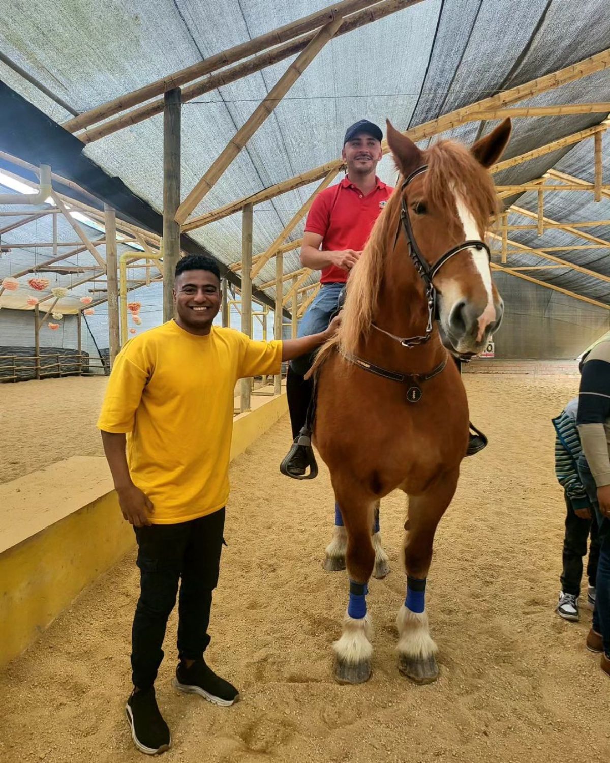 A man sits on a brown Paso Fino horse.