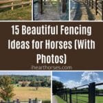 15 Beautiful Fencing Ideas for Horses (With Photos) pinterest image.