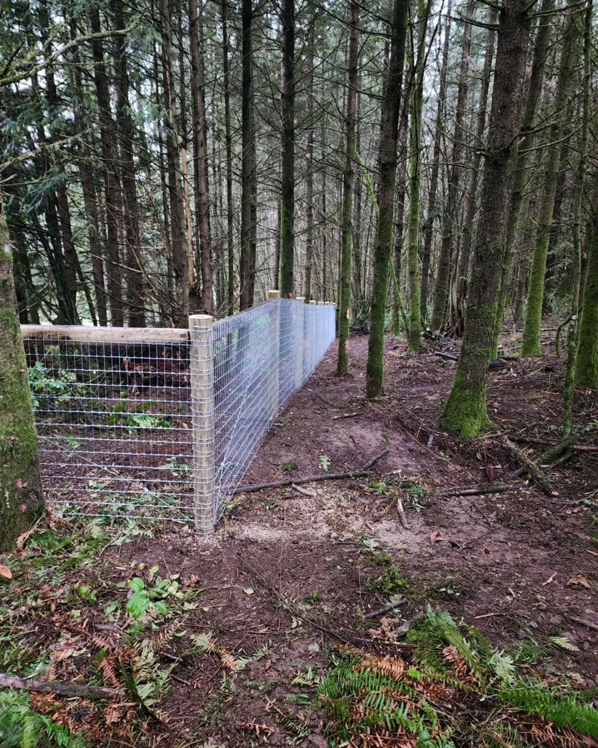 A wooden wire fence in a forest.