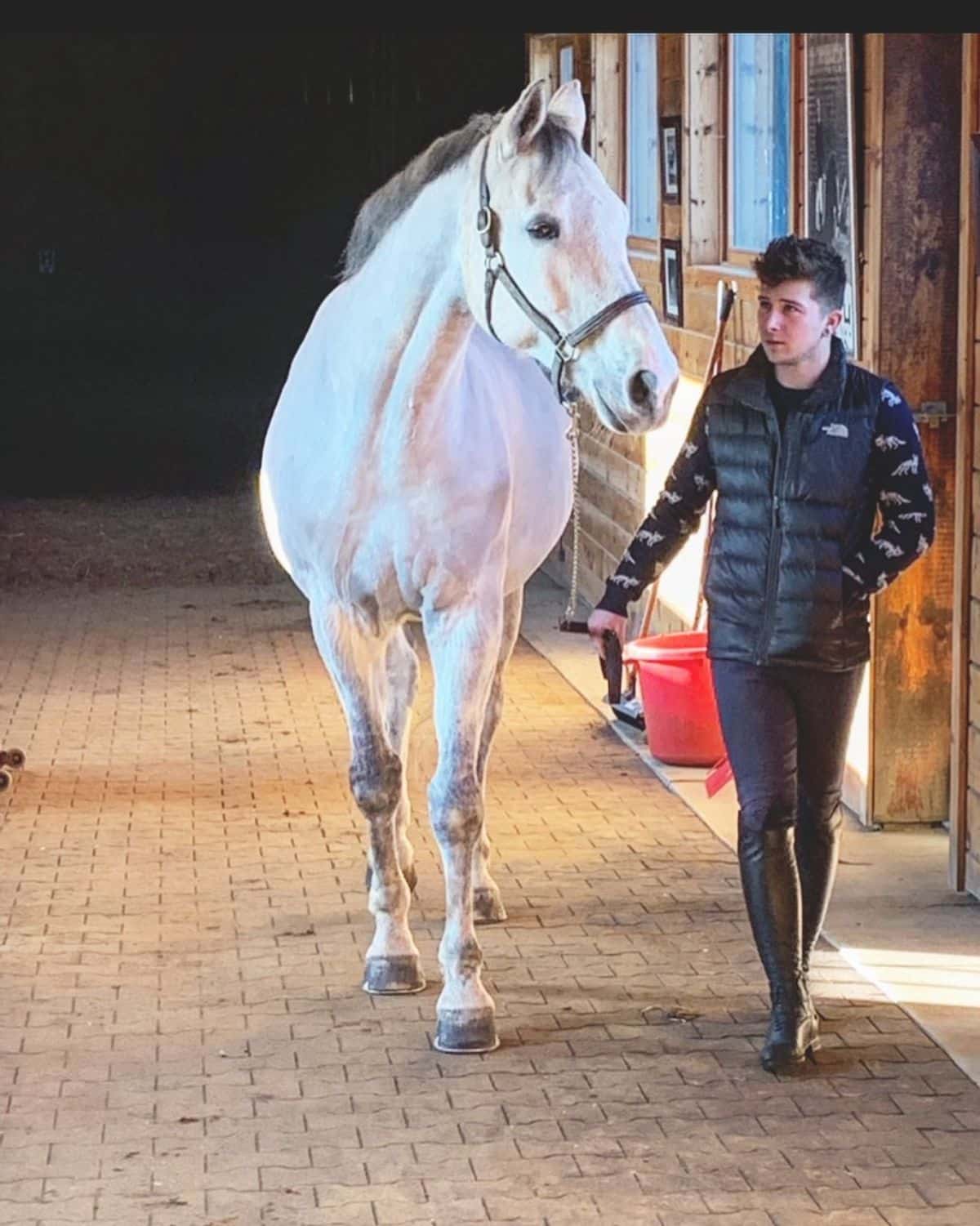 A male Equestrian rider leads a white horse.