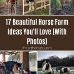 17 Beautiful Horse Farm Ideas You'll Love (With Photos) pinterest image.