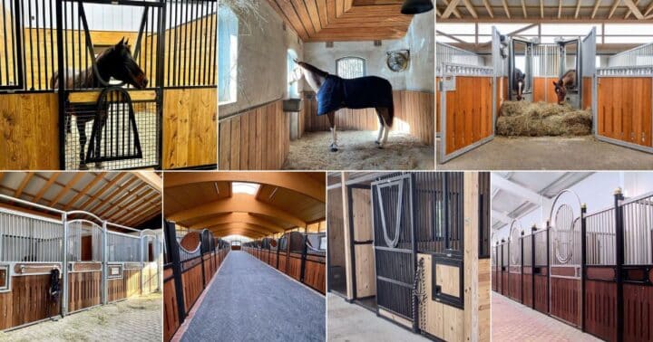 17 Horse Stall Ideas for Any Budget (With Photos)