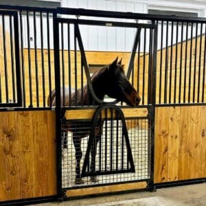 A horse stall with a brown horse insisde.