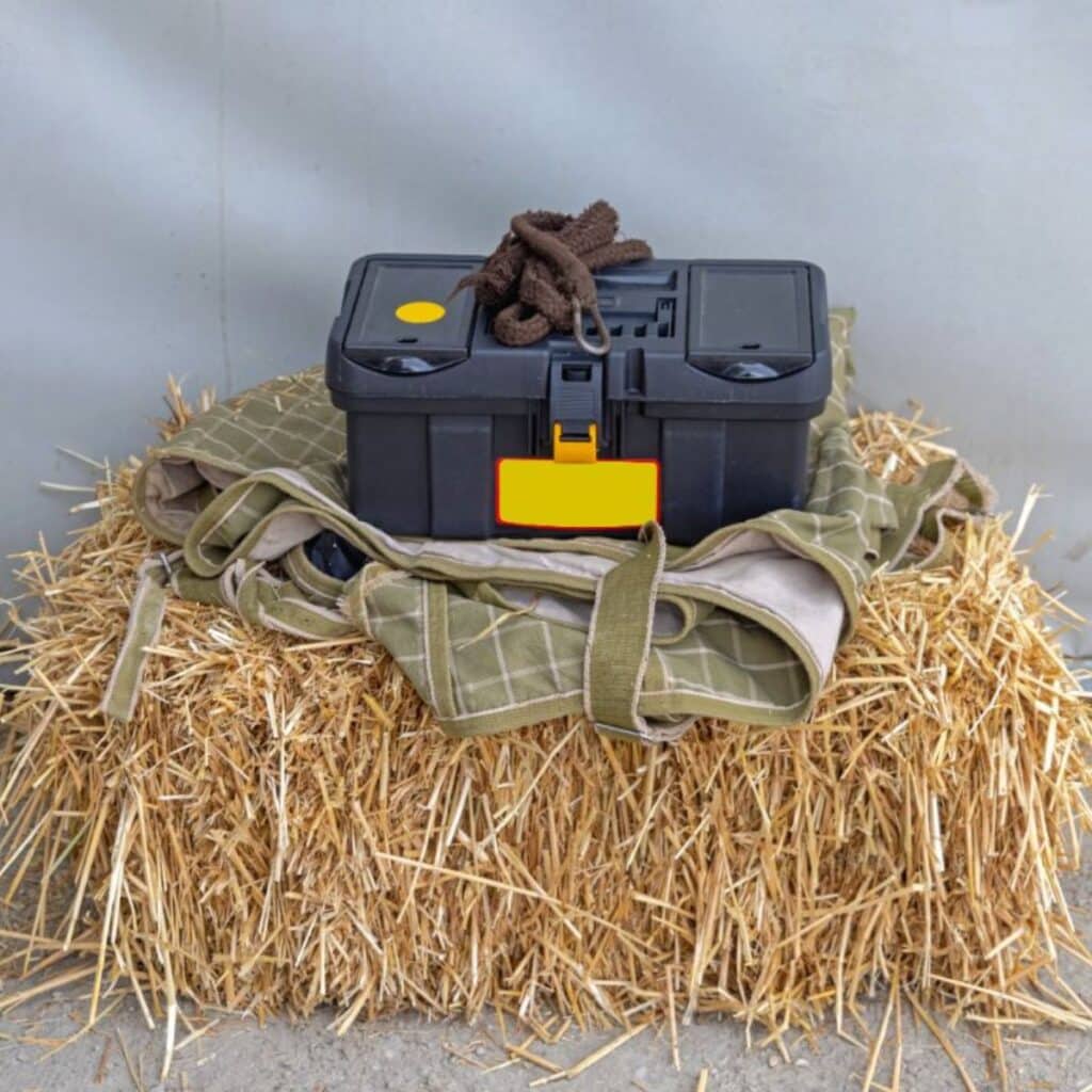 Tips For Horse Owners Archives