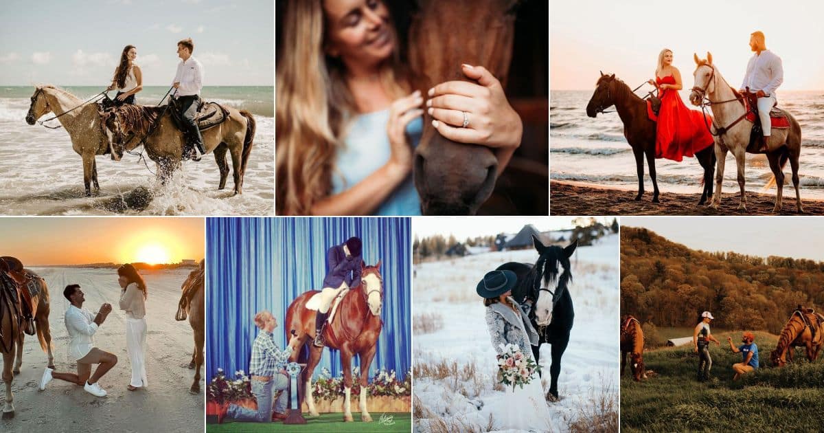 17 Romantic Ideas for Engagement for Horse Lovers facebook image.