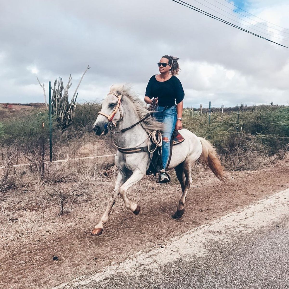 A woman rides a white Spanish Trotter horse.