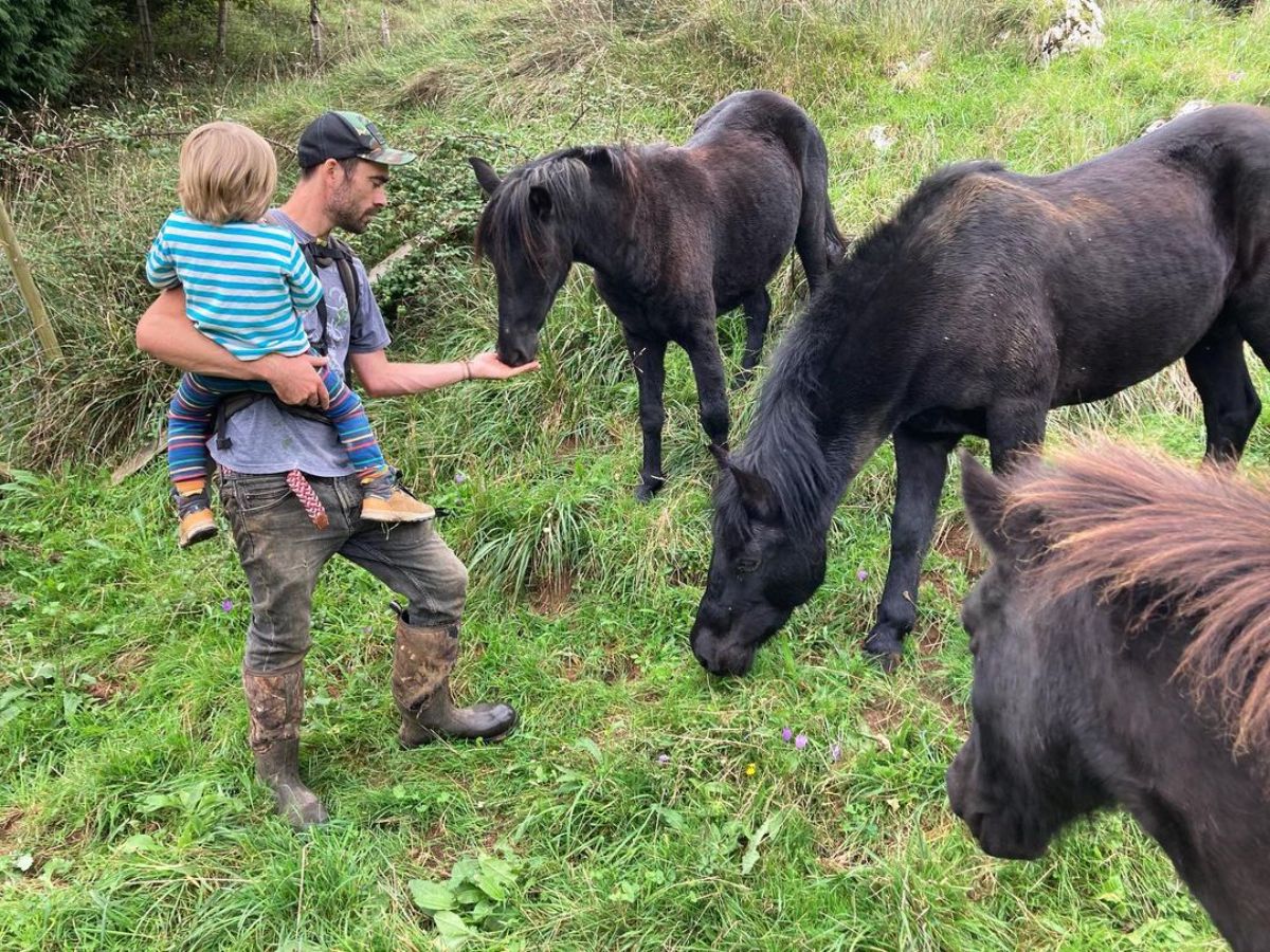 Man with his kids near a herd of Asturcon horses.