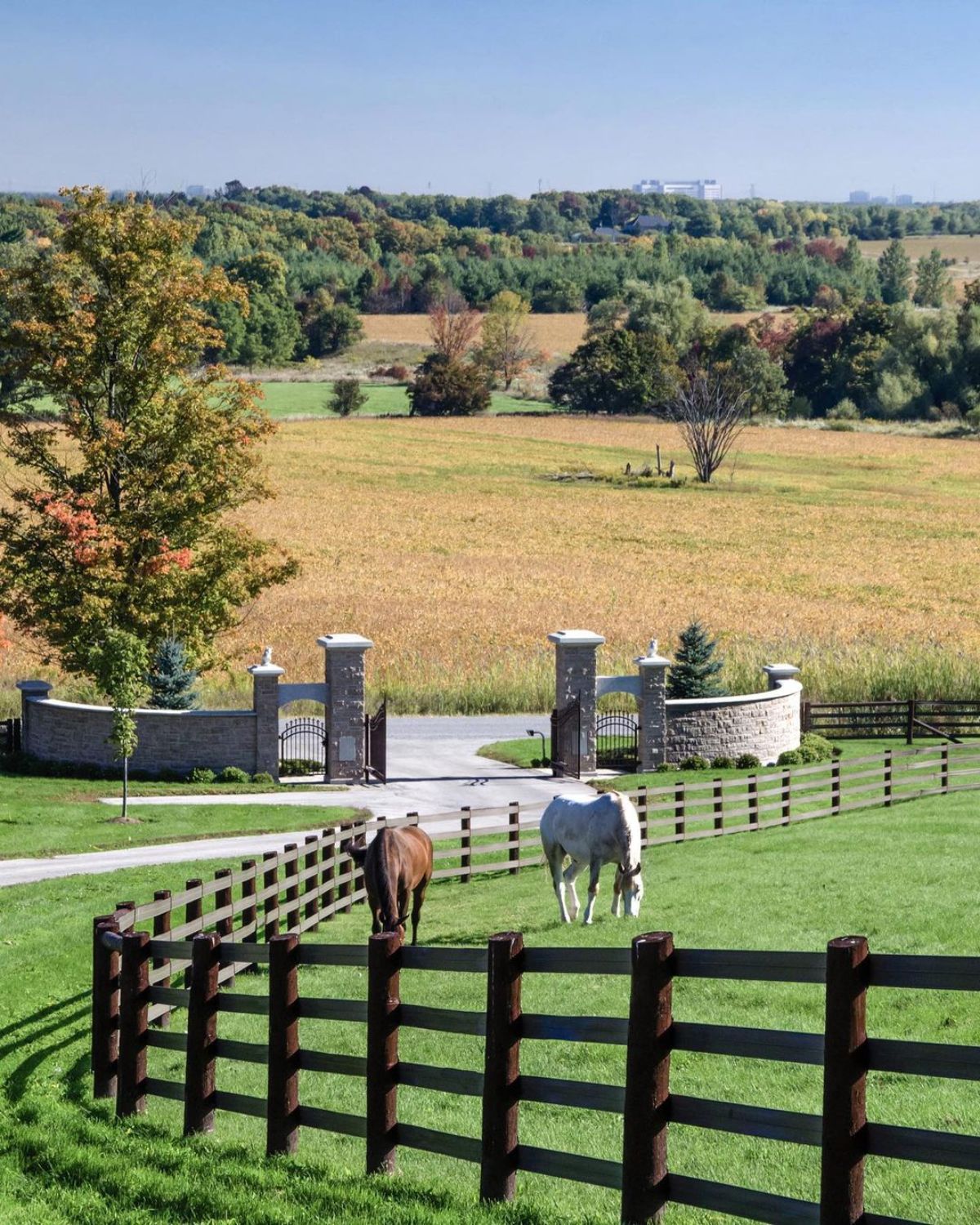 A horse ranch with horses grazig near a wooden fence.