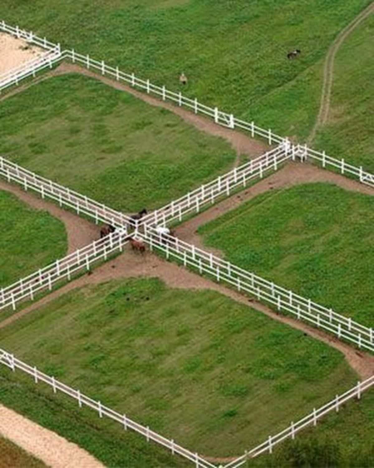 A horse ranch with separated spaces.