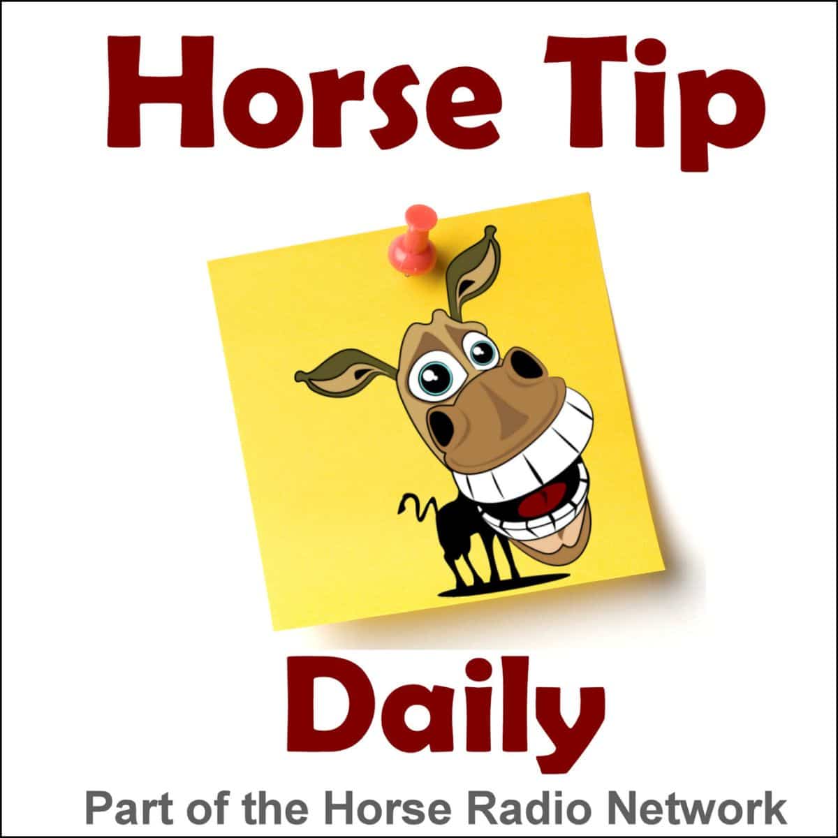 Horse Tip Daily podcast poster.