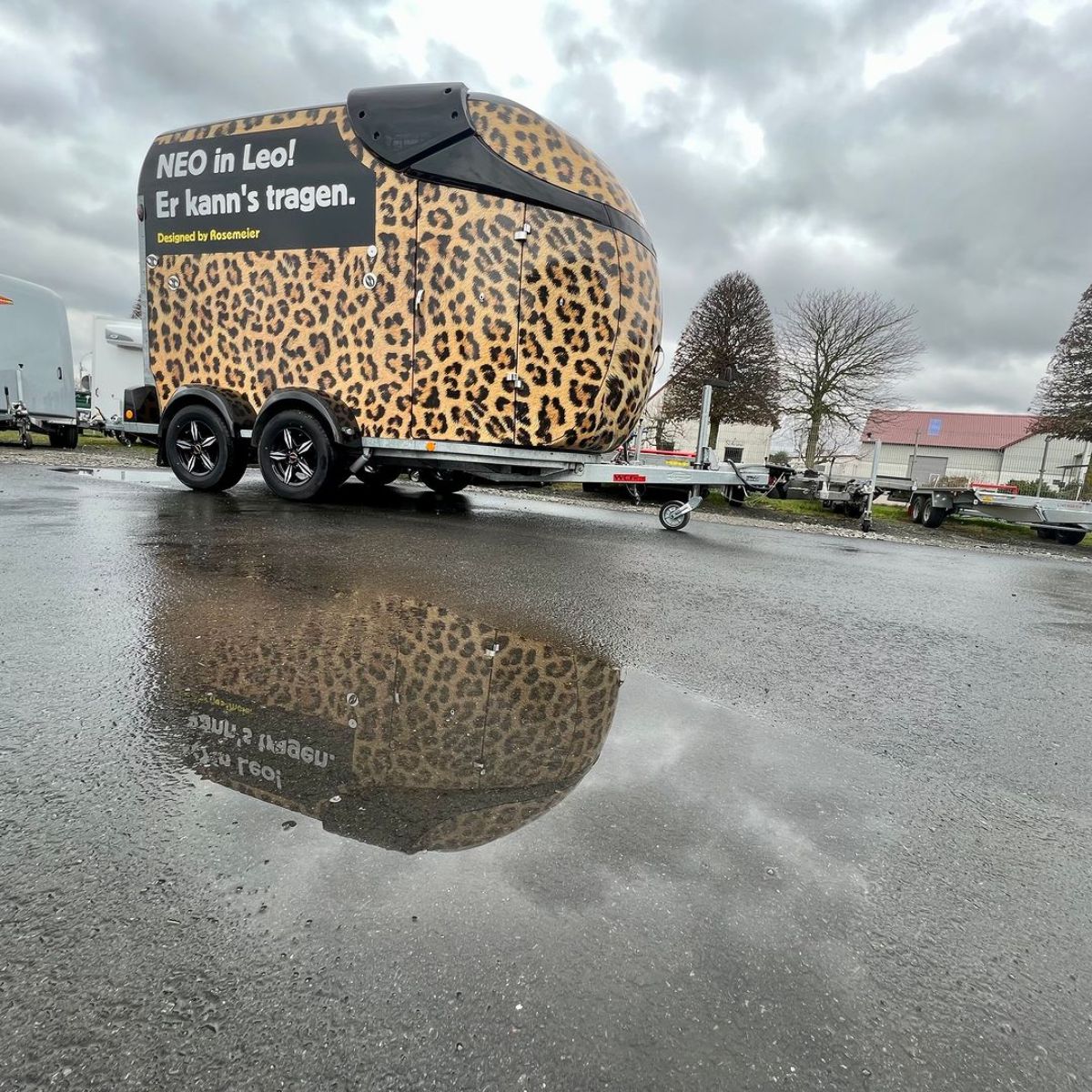 Tiger-pattern horse trailer.