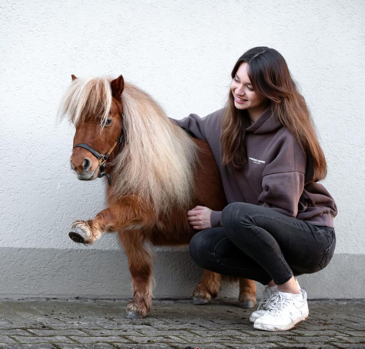 A smiling woman kneels near an adorable Shetland Pony.