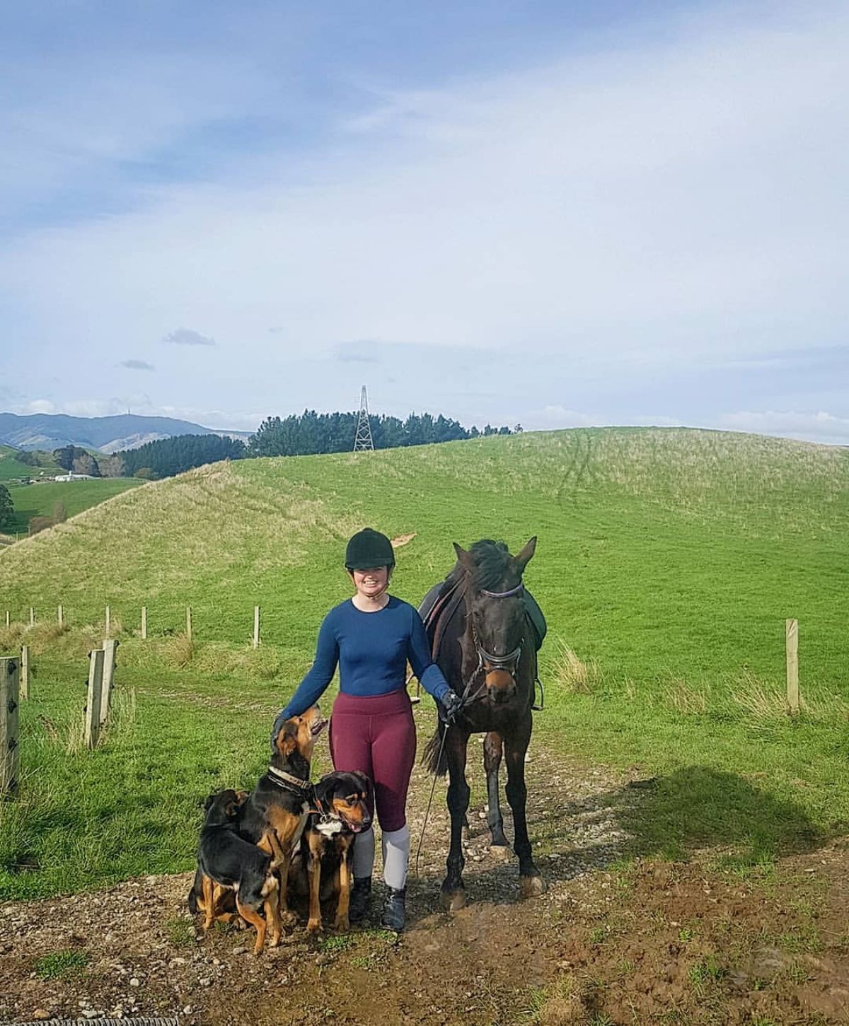 A woman, three dogs and a brown horse on a trail.