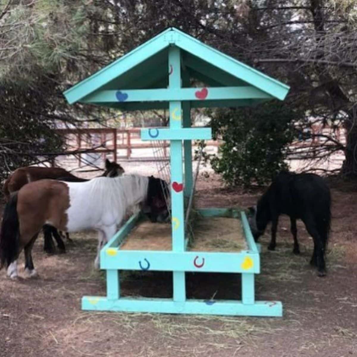 A herd of horses grazes from a sheltered horse feeder.