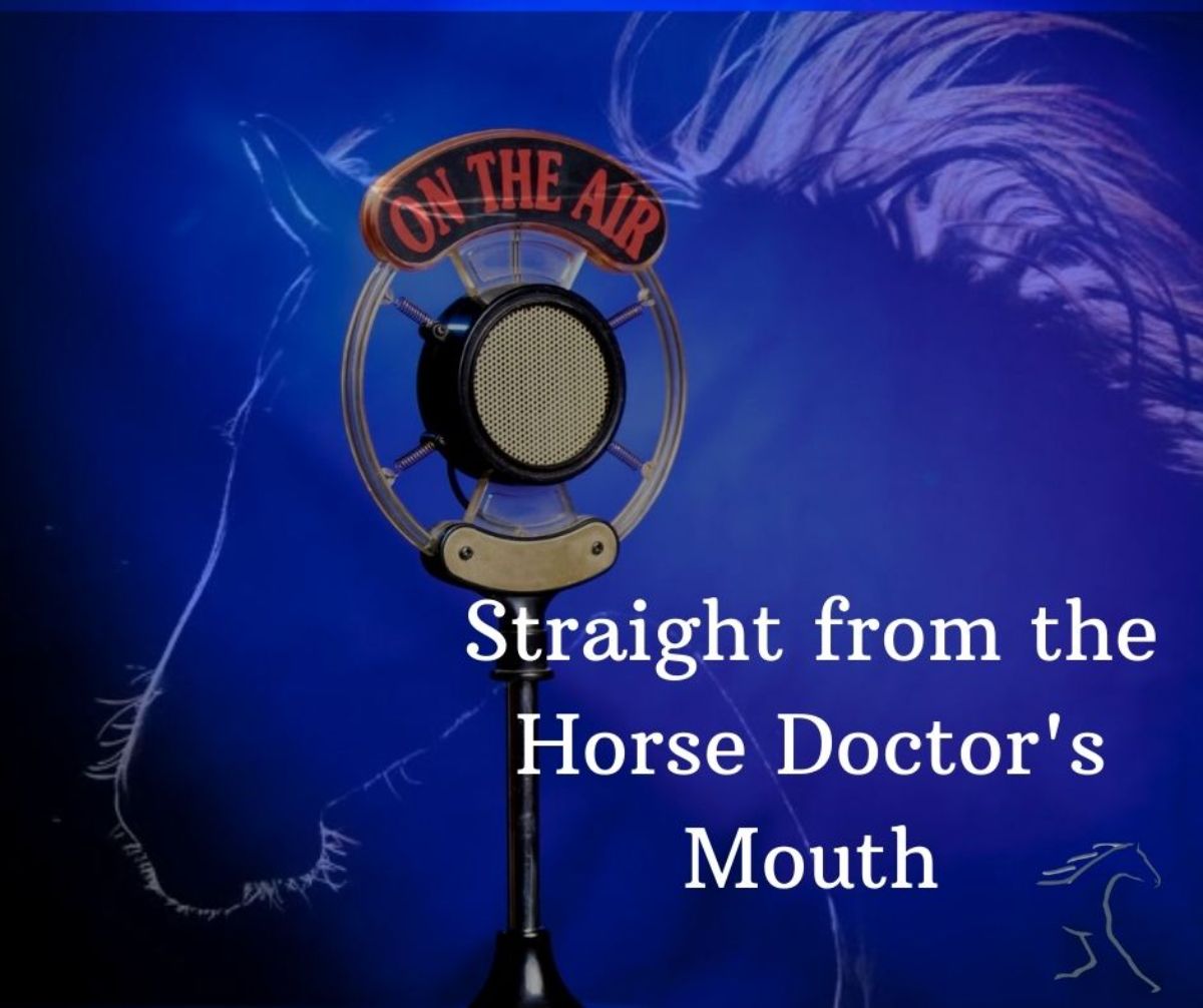 Straight From the Horse Doctor’s Mouth podcast poster.