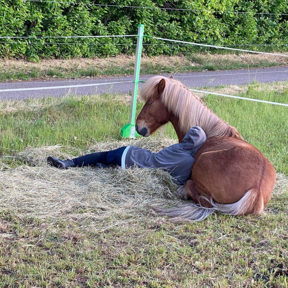 A human and a brown horse sleep on the ground.