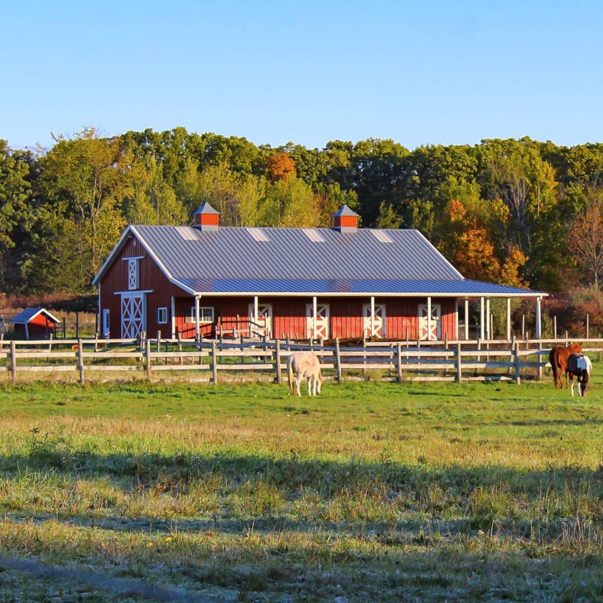 A horse ranch with horses grazing on a field with a big barn in the distance.