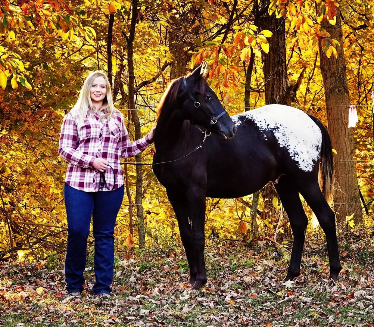 A woman holds a black-white Appaloosa horse.