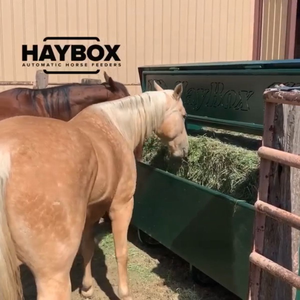 Two brown horses graze from an automatic horse feeder.