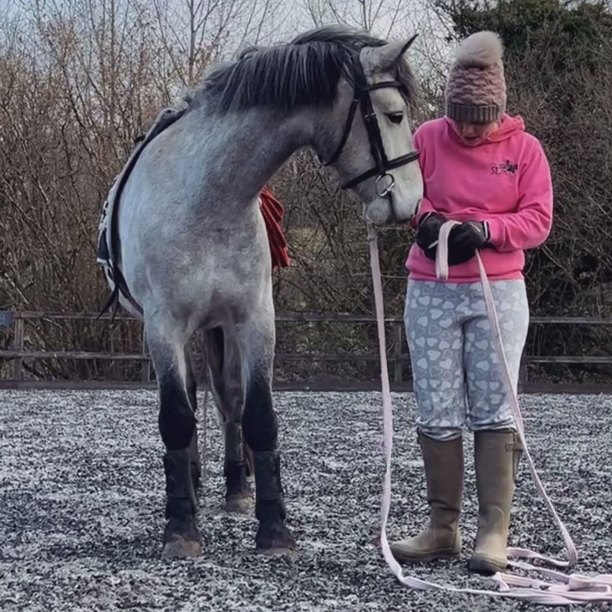 A woman stands next to an adorable gray Connemara Pony.