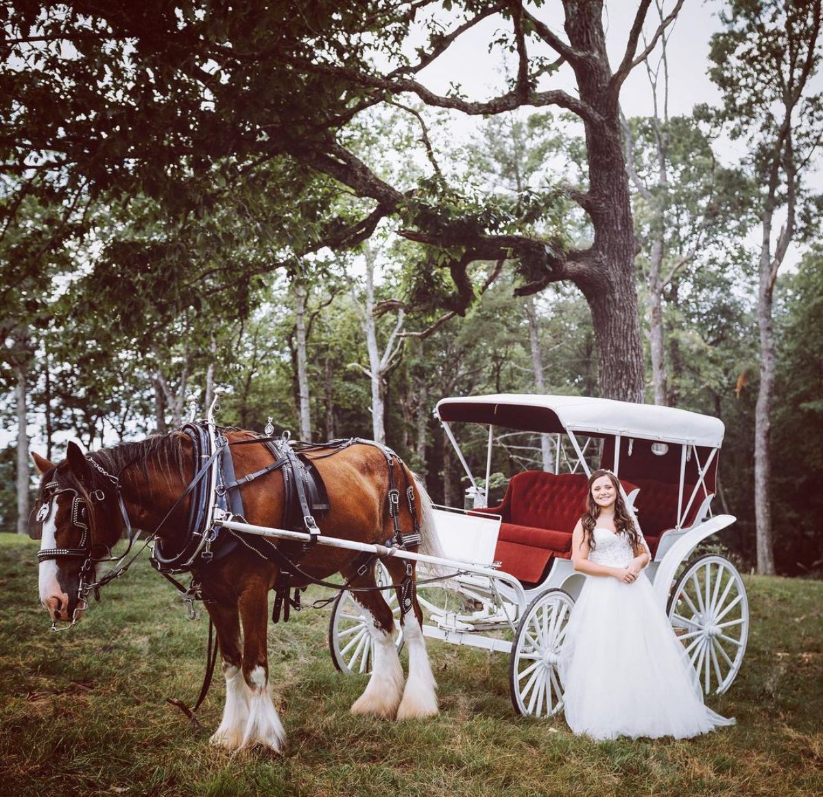 A bride stands near a white horse carriage drawn with a brown horse.