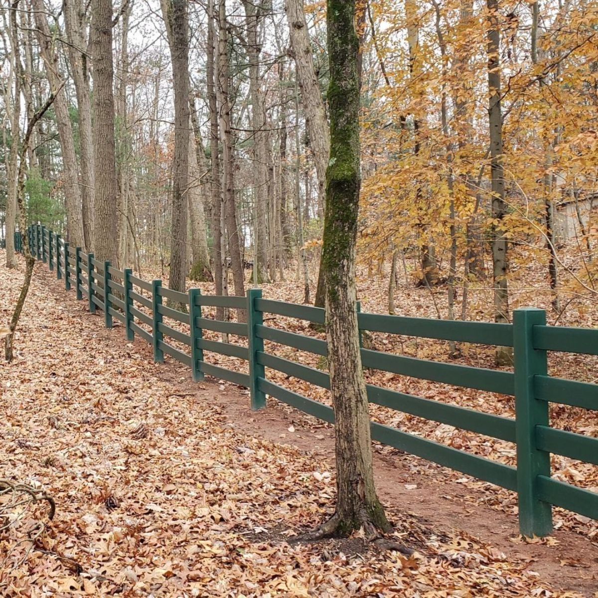 Four-Rail High-Density Polyethylene Property Fence.