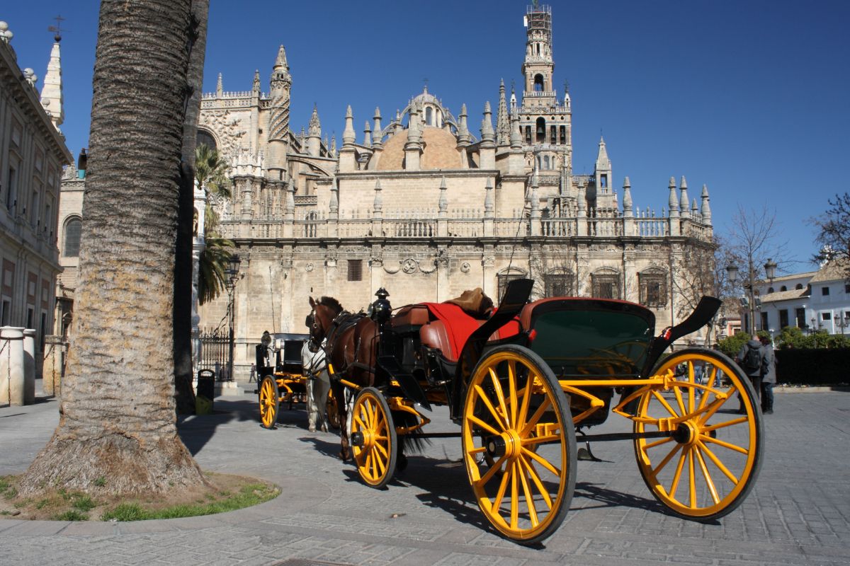 Barouche Horse-Drawn Carriage