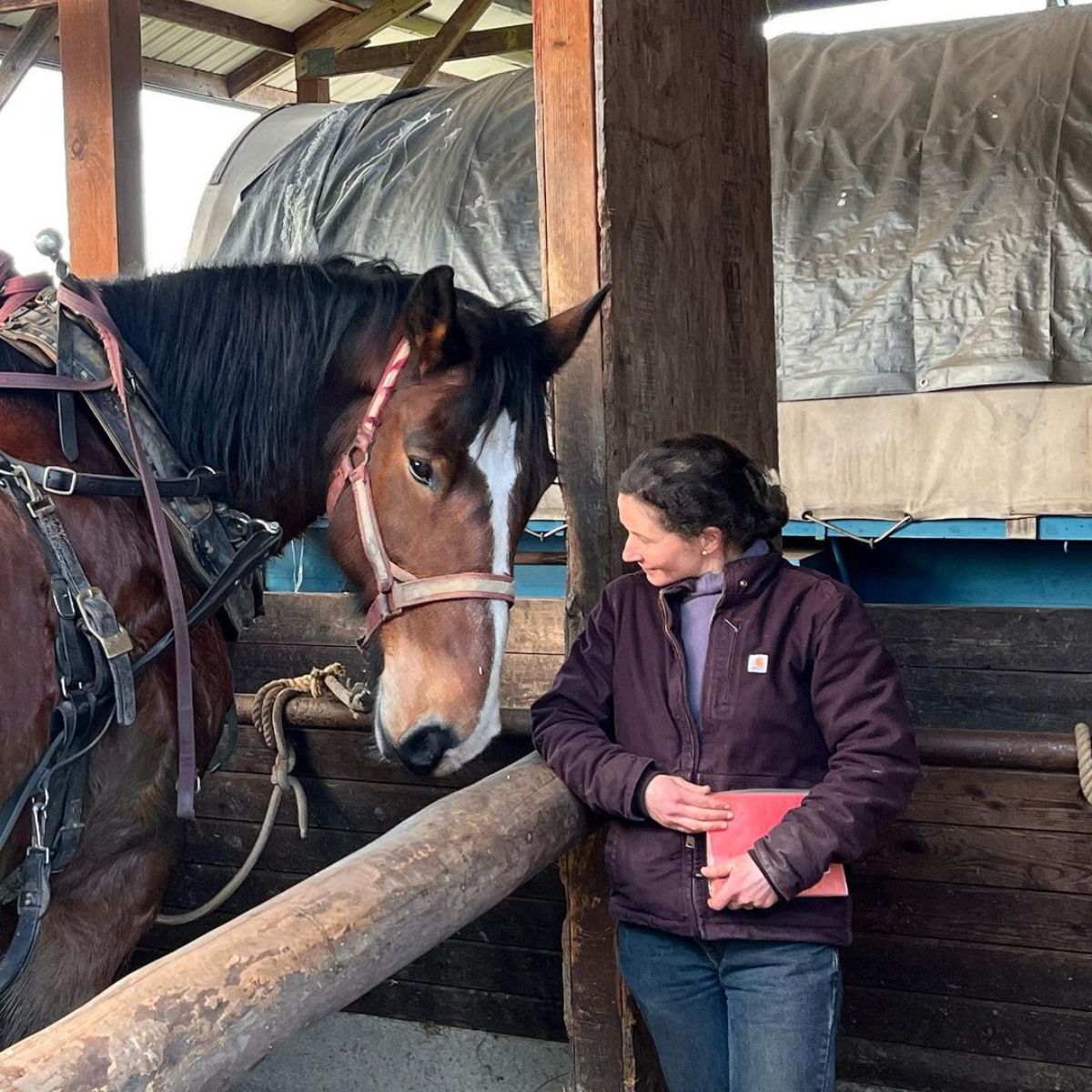 A woman talks to her brown horse in a stable.