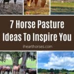 7 Horse Pasture Ideas To Inspire You (With Photos) pinterest image.