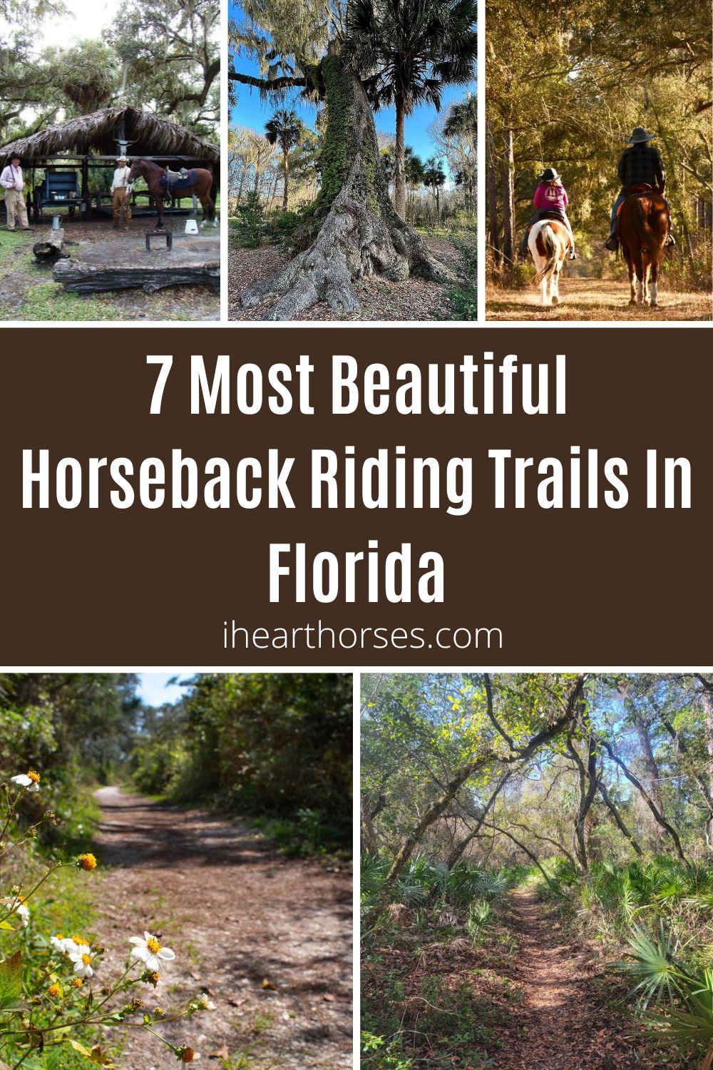 7 Most Beautiful Horseback Riding Trails In Florida