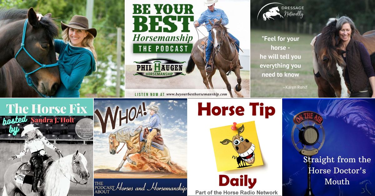 7 Top Podcasts for Horse Lovers (Trending Now) facebook image.