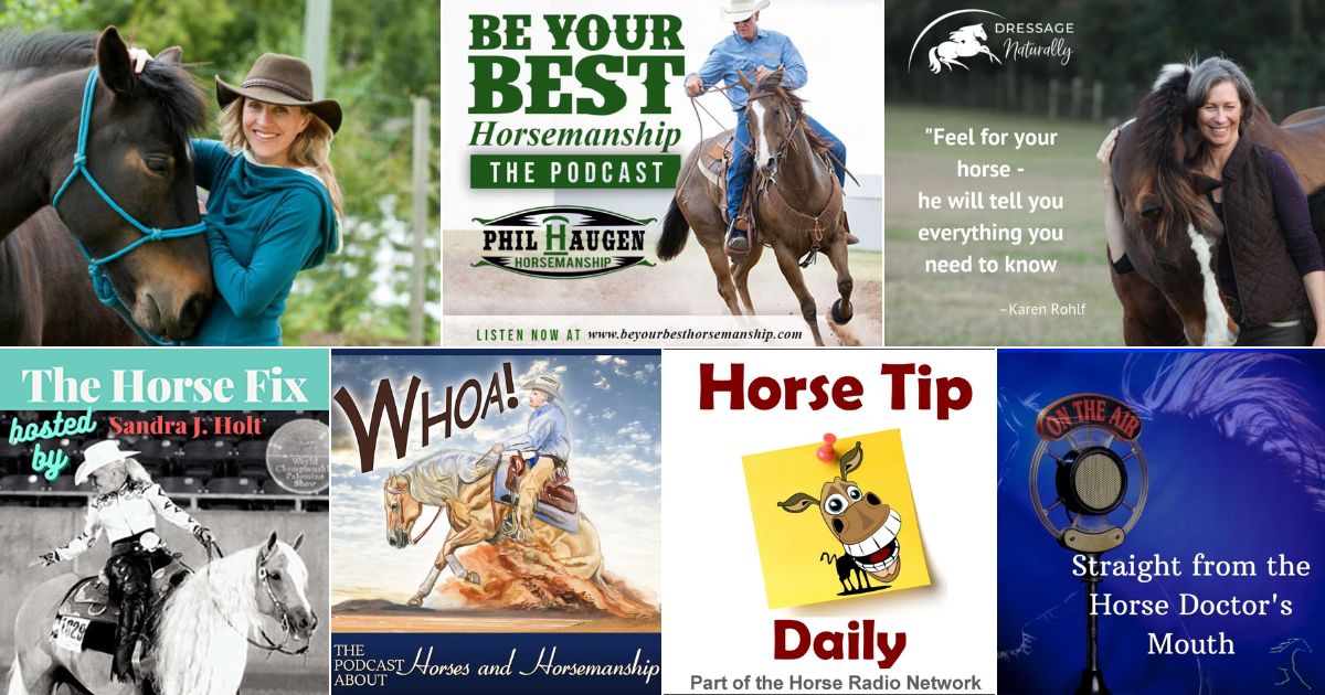 7 Top Podcasts for Horse Lovers (Trending Now)