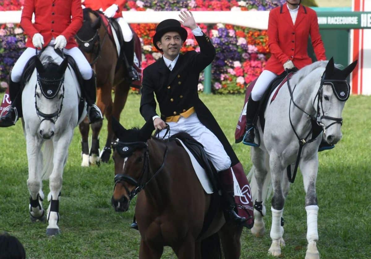 A male Equestrian rider wears a black jacket rides a brown horse.