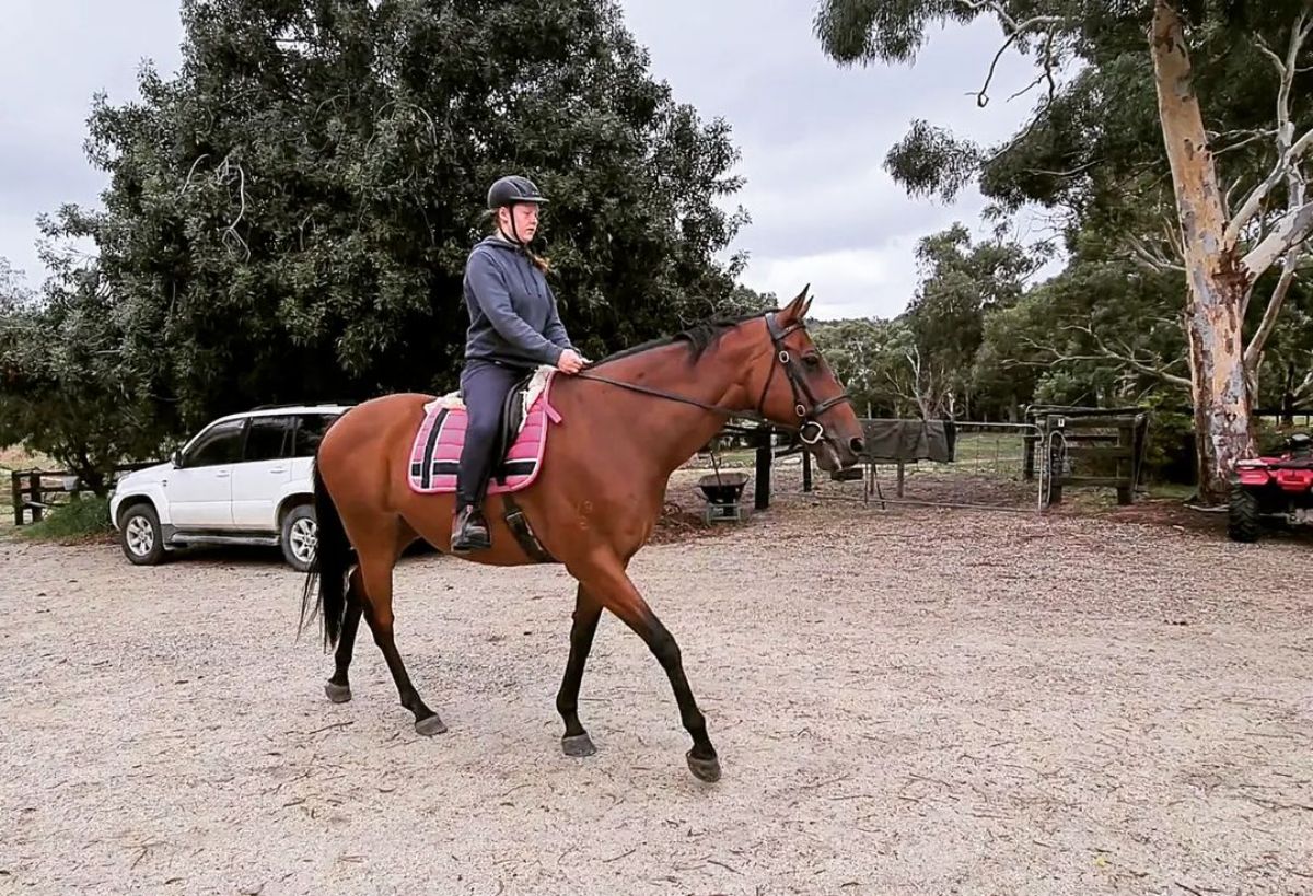 A woman rides a brown Thoroughbred horse.