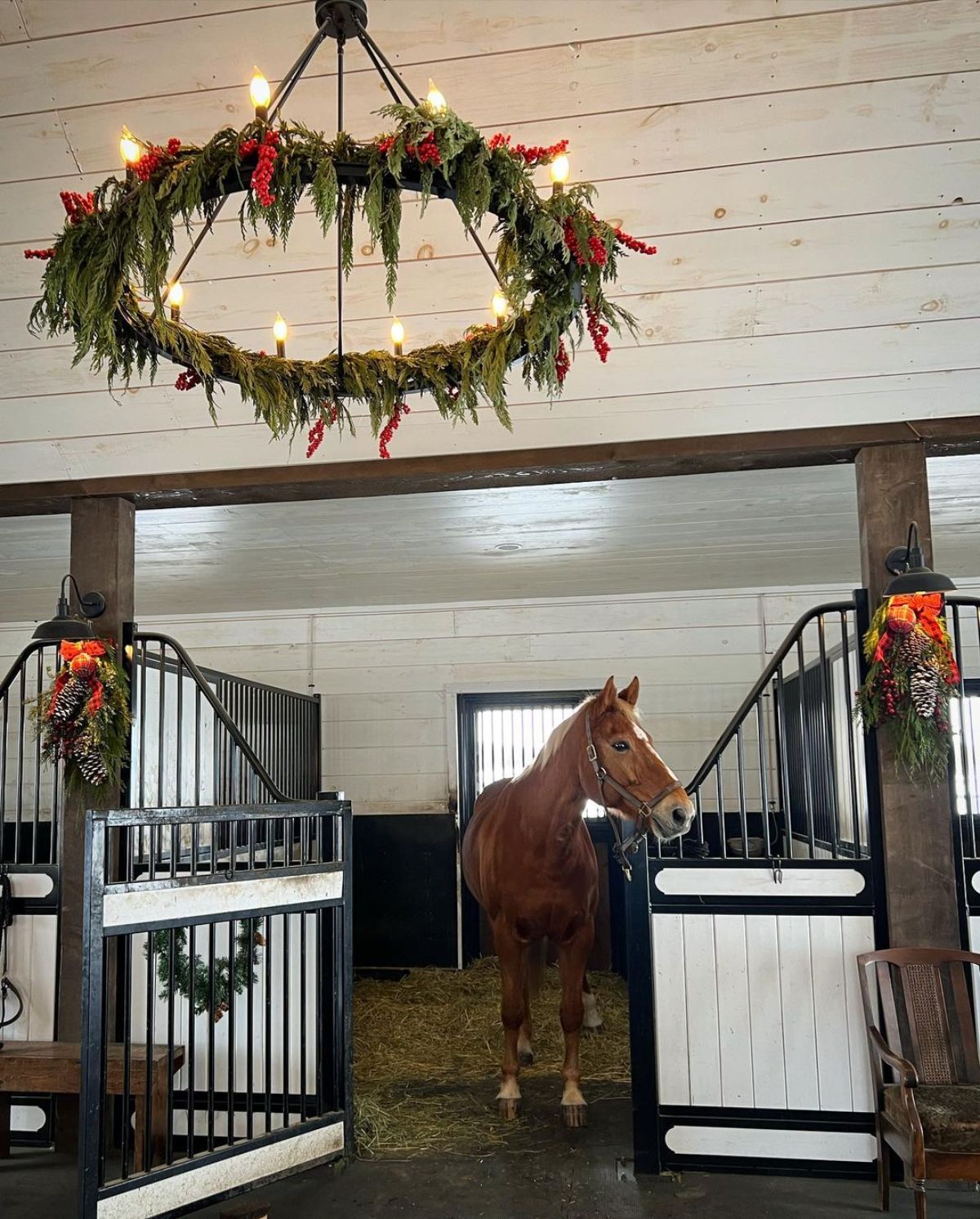 A horse stall with a brown horse and a holiday decor.