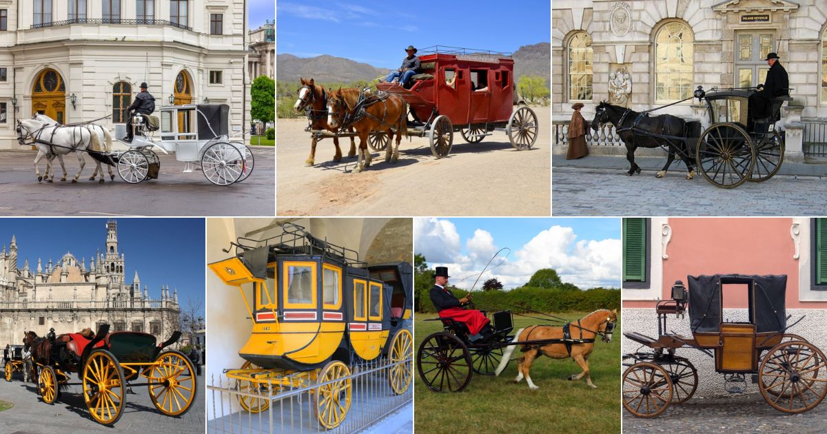 Horse drawn-Carriages - Transportation in the 1800's