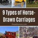 9 Types of Horse-Drawn Carriages (with Images) pinterest image.